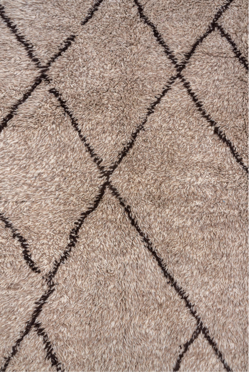 Vintage Moroccan Area Rug (8' x 12')